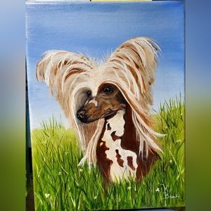 Original Oil Painting 9 x 12 Chinese Crested Dog